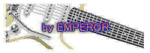 EMPERORs̃TCg